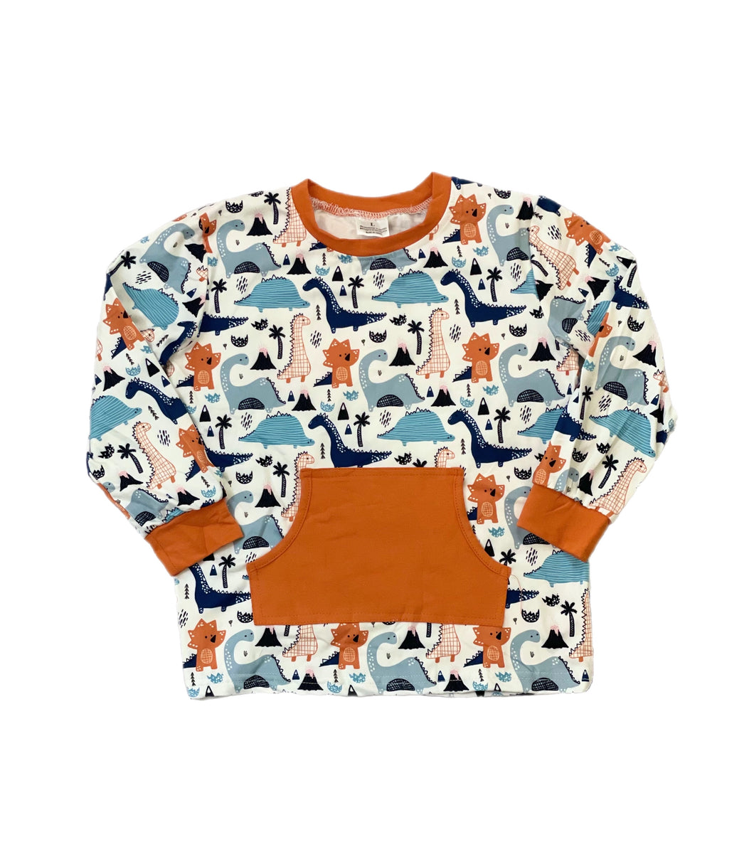 Boys Dinosaur Print Pullover Top